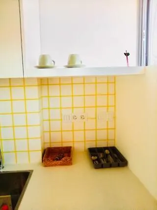 Cantinho Da Palmeira Iii *